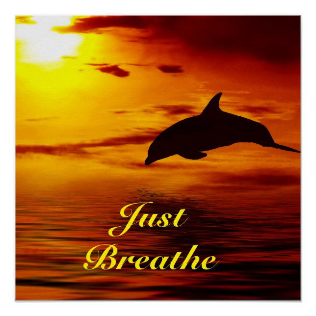 Dolphin Poster (Front)