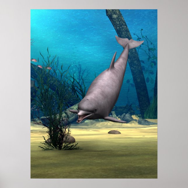 Dolphin Poster (Front)