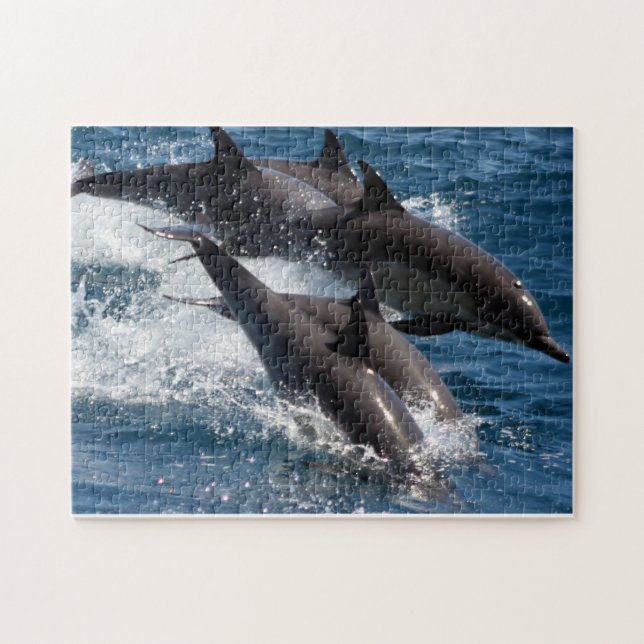 Dolphin Puzzle (Horizontal)