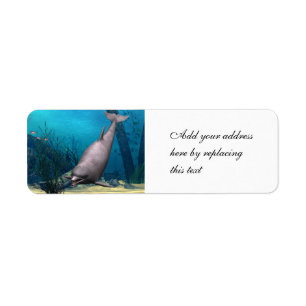 Dolphin Return Address Label