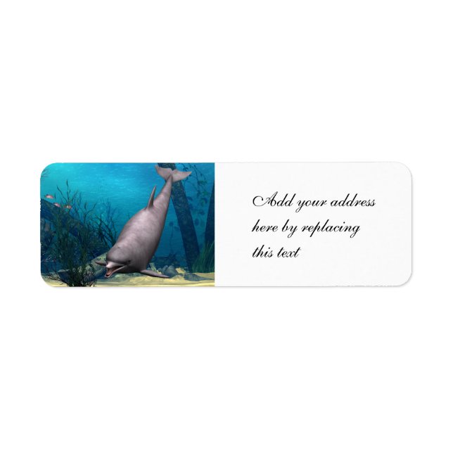 Dolphin Return Address Label (Front)