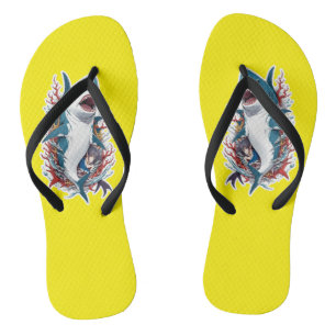 Dolphin Sandals & Flip Flops