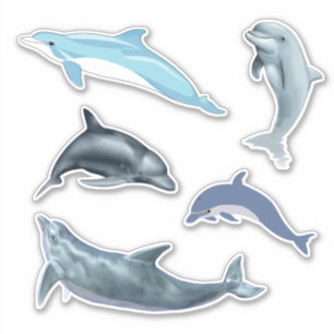 Dolphin Shaped Stickers Kids Party