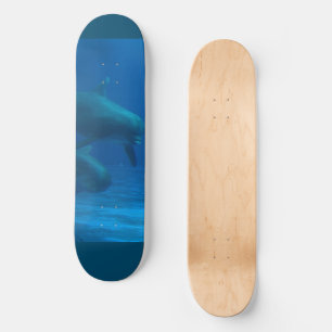 Dolphin Skateboard