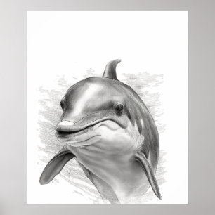 Dolphin Sketch Portrait Black white Poster