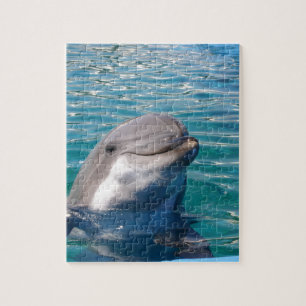 Dolphin Smile Jigsaw Puzzle
