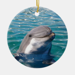 Dolphin Smile, Personalise as Desired Ceramic Tree Decoration