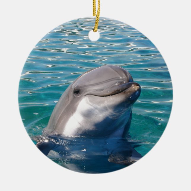 Dolphin Smile, Personalise as Desired Ceramic Tree Decoration (Front)