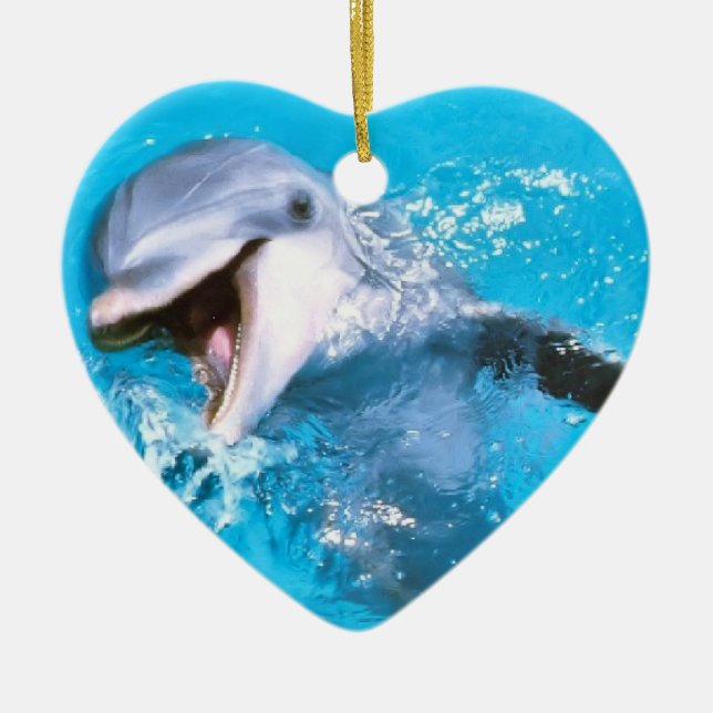 Dolphin Smiling 2 Ceramic Tree Decoration (Front)
