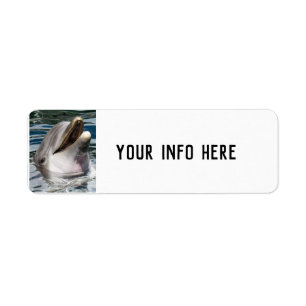 DOLPHIN SMILING RETURN ADDRESS LABELS