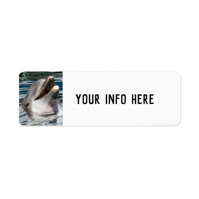 DOLPHIN SMILING RETURN ADDRESS LABELS (Front)
