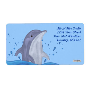 Dolphin Splash