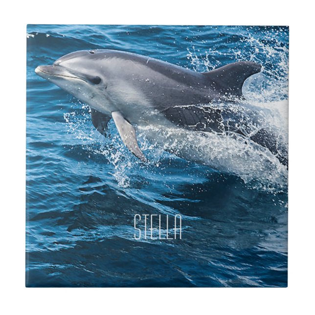 Dolphin Splashing Tile (Front)
