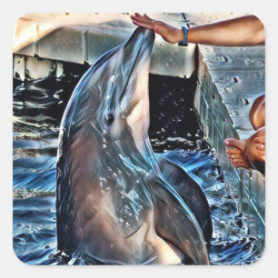 Dolphin Square Sticker