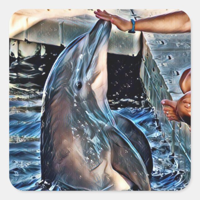 Dolphin Square Sticker (Front)