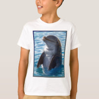 dolphin stand