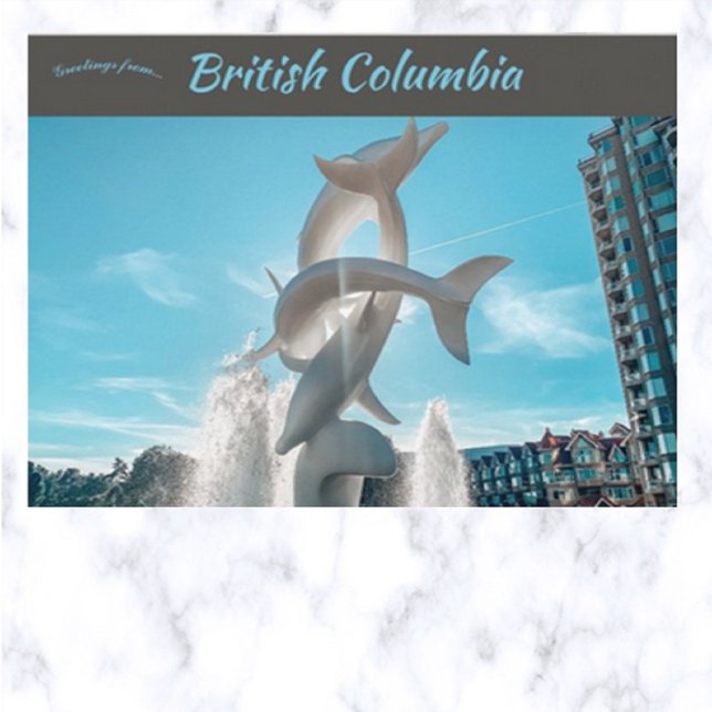 Dolphin Statue Downtown Kelowna British Columbia  Postcard (Creator Uploaded)