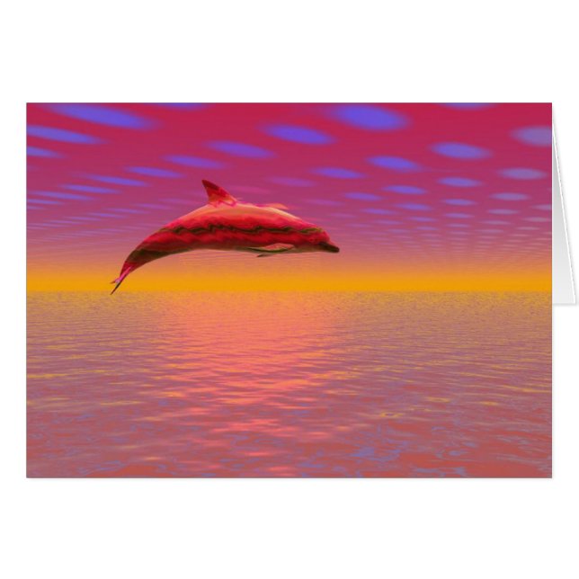 Dolphin Sunset (Front Horizontal)