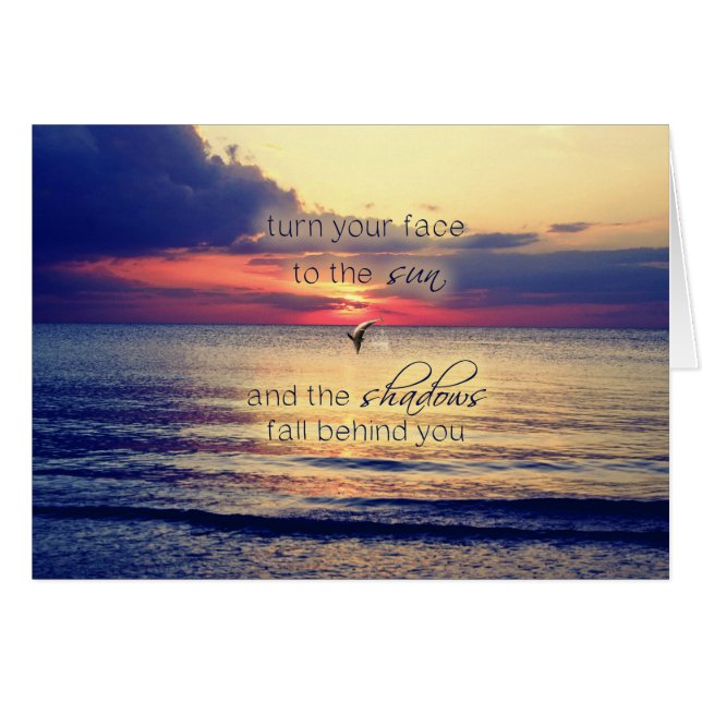 Dolphin Sunset (Front Horizontal)