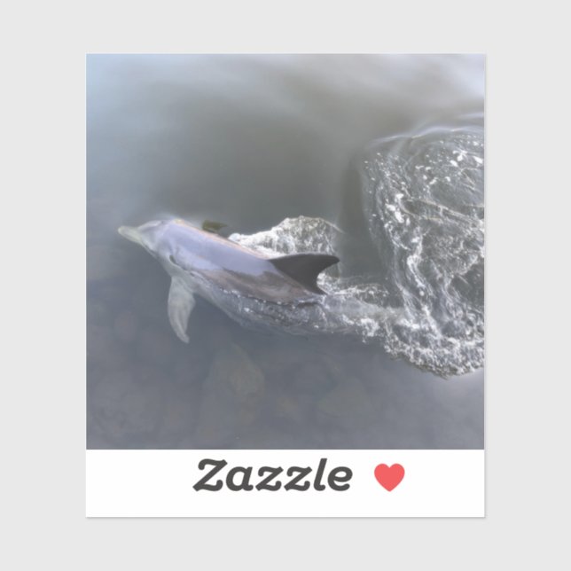 Dolphin Swimming (Sheet)