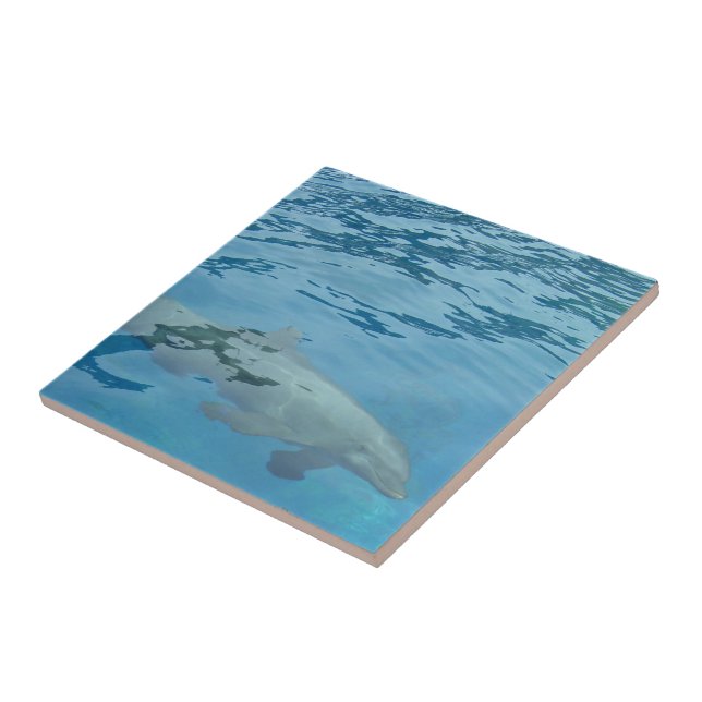 Dolphin Swimming Through Clear Blue Water Tile (Side)