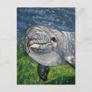 Dolphin Swimming Under Water: Dappled Sunlight Postcard