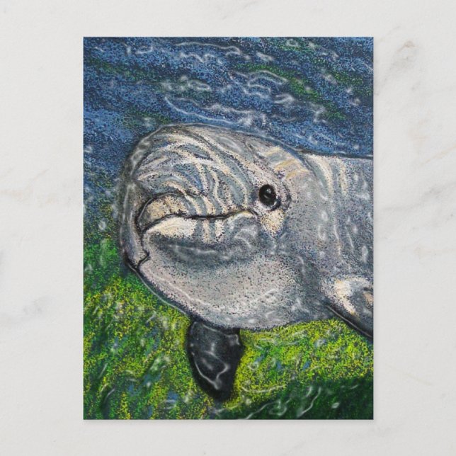 Dolphin Swimming Under Water: Dappled Sunlight Postcard (Front)