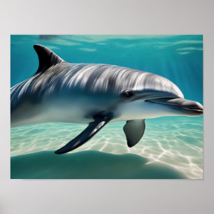 Dolphin Swimming Underwater Poster
