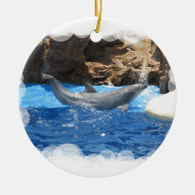 Dolphin Tricks Ornament (Front)