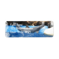 Dolphin Tricks Return Address Label
