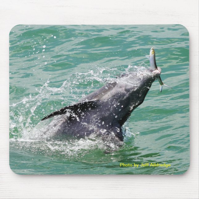 Dolphin with lunch mouse pad (Front)