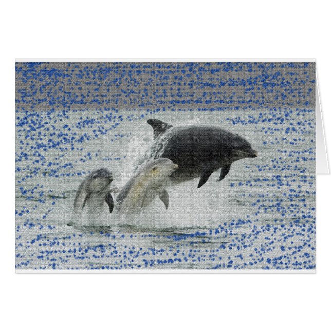 Dolphins (Front Horizontal)