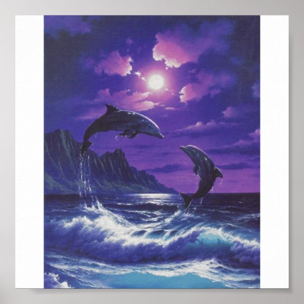 Dolphin Posters & Photo Prints | Zazzle AU