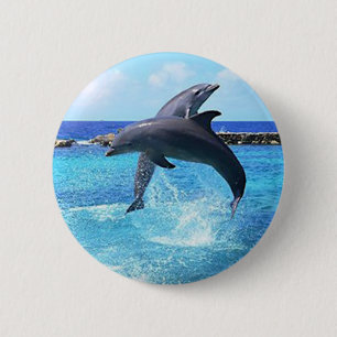 Dolphins 6 Cm Round Badge
