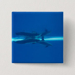 Dolphins and reflections 15 cm square badge