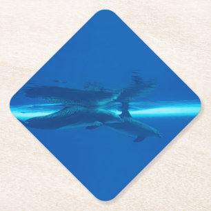 Dolphins and reflections  paper coaster