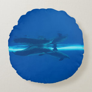 Dolphins and reflections round cushion
