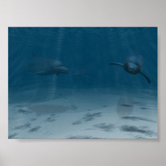 Dolphins at Play Poster