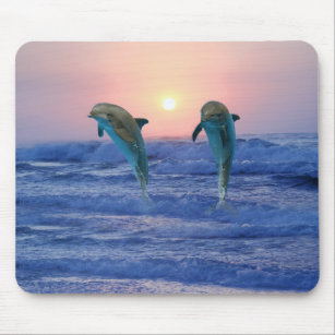Dolphins at sunrise mouse pad