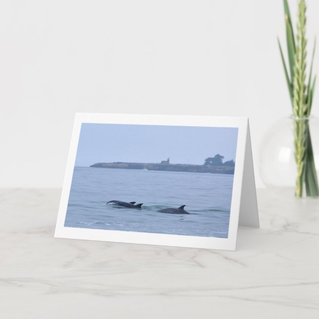 Dolphins at The Lighthouse-Blank Greeting Card (Front)
