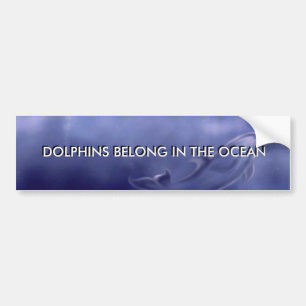 DOLPHINS BELONG IN THE OCEAN STICKER