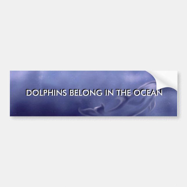 DOLPHINS BELONG IN THE OCEAN STICKER (Front)