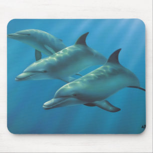 Dolphins by Andrew Patsalou Mouse Pad