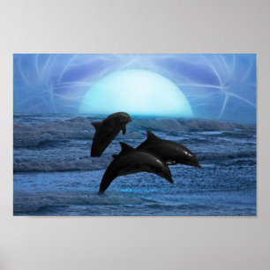 Dolphins by moonlight poster