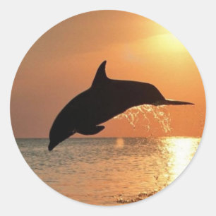 Dolphins by Sunset Classic Round Sticker