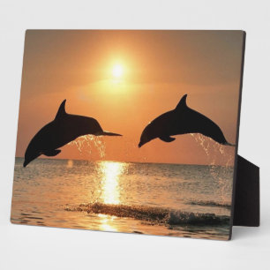 Dolphins by Sunset Plaque