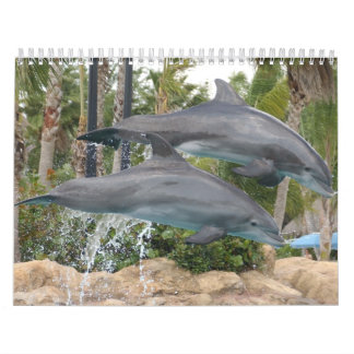 dolphins calendar
