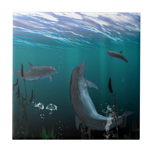 dolphins ceramic tile (Front)