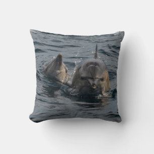 Dolphins Close-up Portrait, Tasmania, Australia Cushion