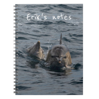 Dolphins Close-up Portrait, Tasmania, Australia Notebook